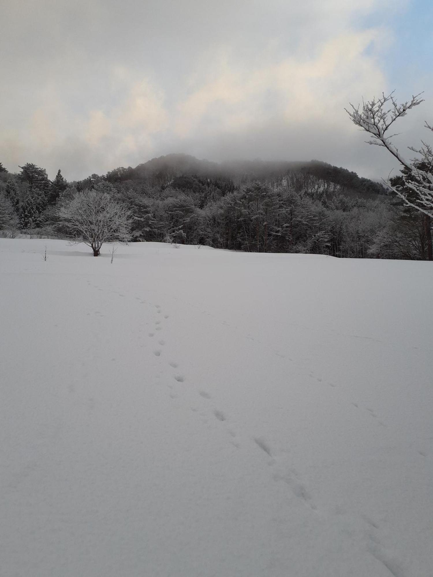 Tanehachi Farm Guesthouse - Vacation Stay 29709V Aomori Exterior foto